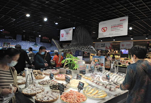 鯧魚冰臺 二手日用百貨的攝影素材與零售新場景